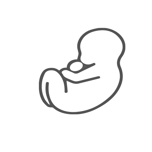 portfolio item image